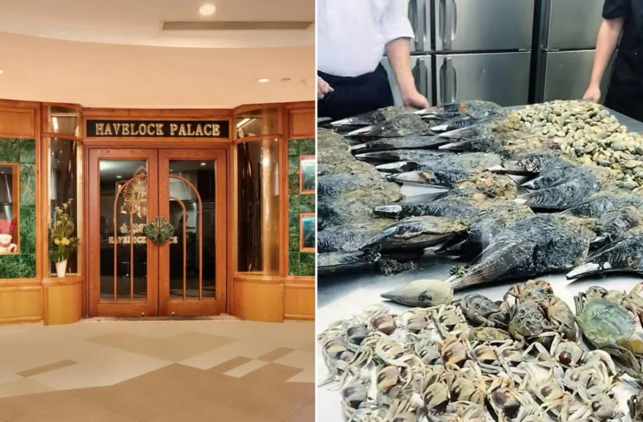 Singapore restaurant apologises for cooking seafood foraged from Changi Beach Singapore restaurant apologises for cooking seafood foraged from Changi Beach