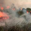 Indonesia forest fire pollutants could drift towards Malaysia, Singapore, and Brunei