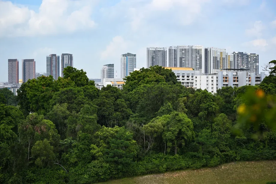 Parliament to discuss Maju Forest, GovTech retrenchments Parliament to discuss Maju Forest, GovTech retrenchments