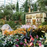Ancient Egypt floral display Lilytopia at Gardens by the Bay