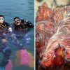 Marine community fears loss of biodiversity hotspot to proposed western island development