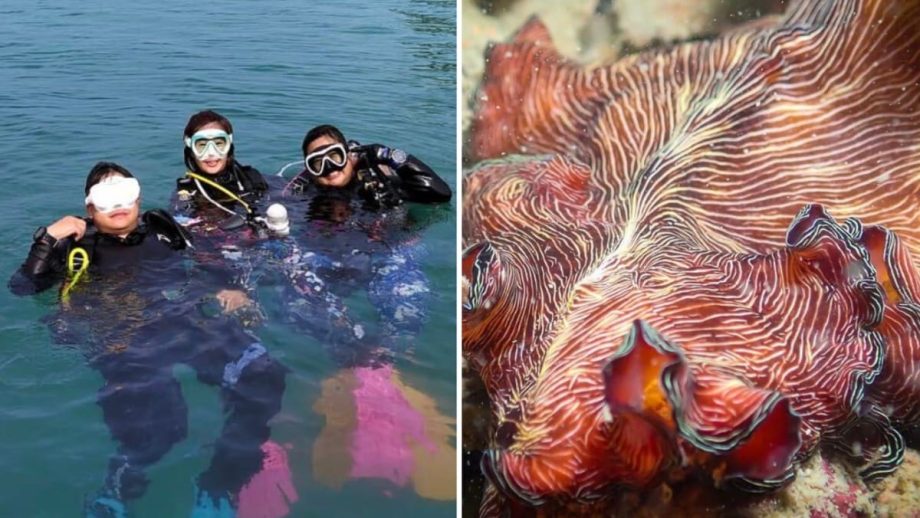 Marine community fears loss of biodiversity hotspot to proposed western island development Marine community fears loss of biodiversity hotspot to proposed western island development