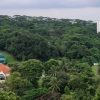 More greenery retained, fewer homes planned for Maju Forest, Gillman Barracks sites after public feedback