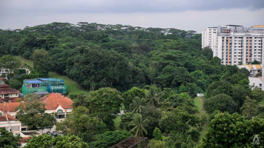 More greenery retained, fewer homes planned for Maju Forest, Gillman Barracks sites after public feedback