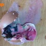 Man horrified by pink and green egg from Bukit Panjang shop