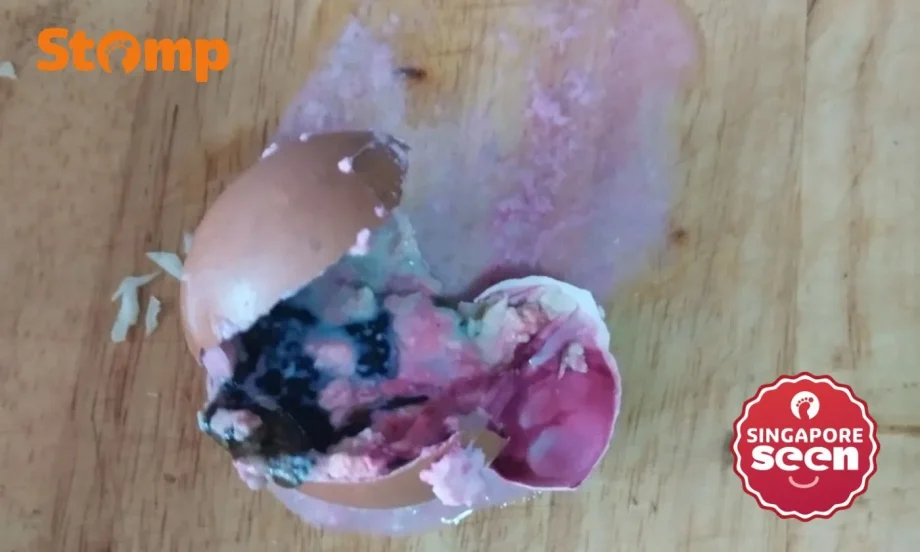 Man horrified by pink and green egg from Bukit Panjang shop Man horrified by pink and green egg from Bukit Panjang shop