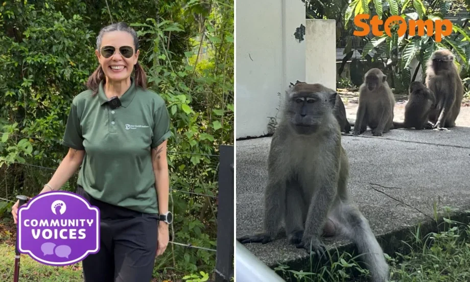 Meet the woman who spends her weekends protecting monkeys