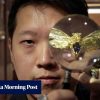 How Hong Kong jewellery maker The Polska Traveller transforms memories into wearable art