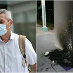 3 months’ jail for man who set fire to community cat houses at Bukit Batok void deck