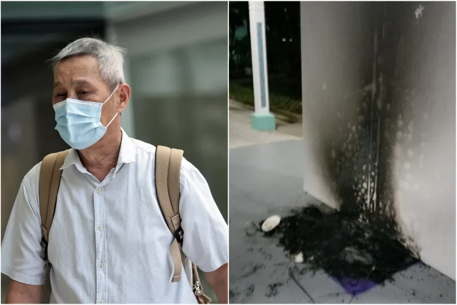 3 months’ jail for man who set fire to community cat houses at Bukit Batok void deck