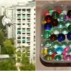 Man arrested for allegedly shooting marbles at birds and damaging window in Woodlands