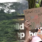 Do Government engagement and public consultation methods need to change?