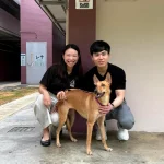 The cost of a second chance: Funding animal rescue groups