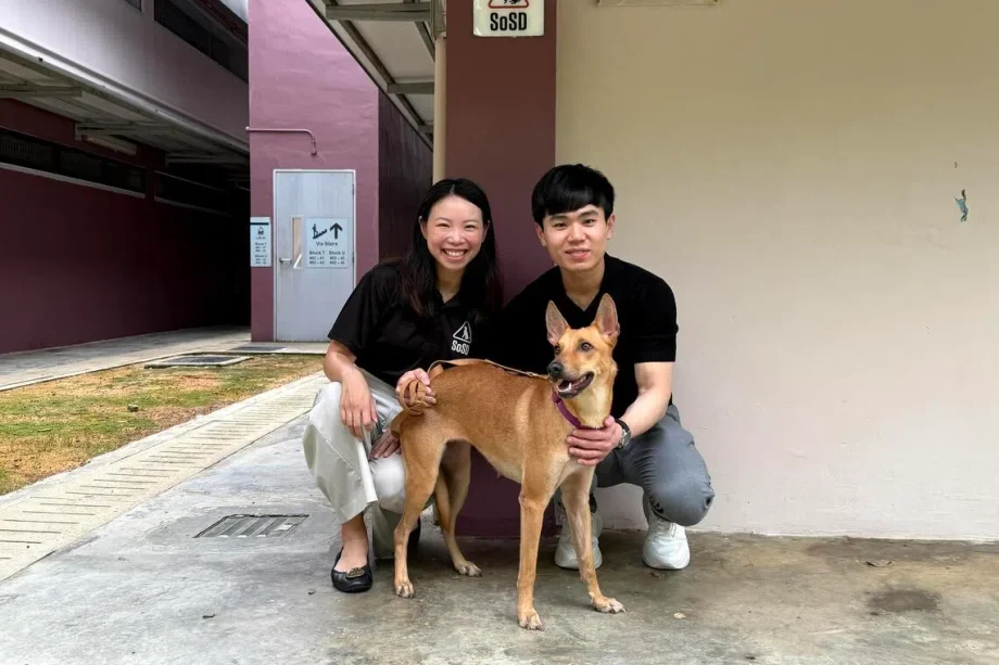 The cost of a second chance: Funding animal rescue groups The cost of a second chance: Funding animal rescue groups