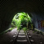 ‘Nothing is cast in stone’: MPs pledge to raise concerns over Maju Forest, Gillman Barracks
