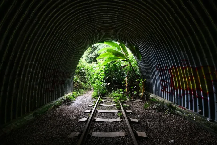 ‘Nothing is cast in stone’: MPs pledge to raise concerns over Maju Forest, Gillman Barracks ‘Nothing is cast in stone’: MPs pledge to raise concerns over Maju Forest, Gillman Barracks