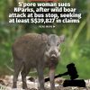 @mothershipsg The case is 1 of 2 separate civil suits involving NParks that are …