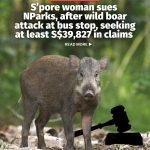 @mothershipsg The case is 1 of 2 separate civil suits involving NParks that are …