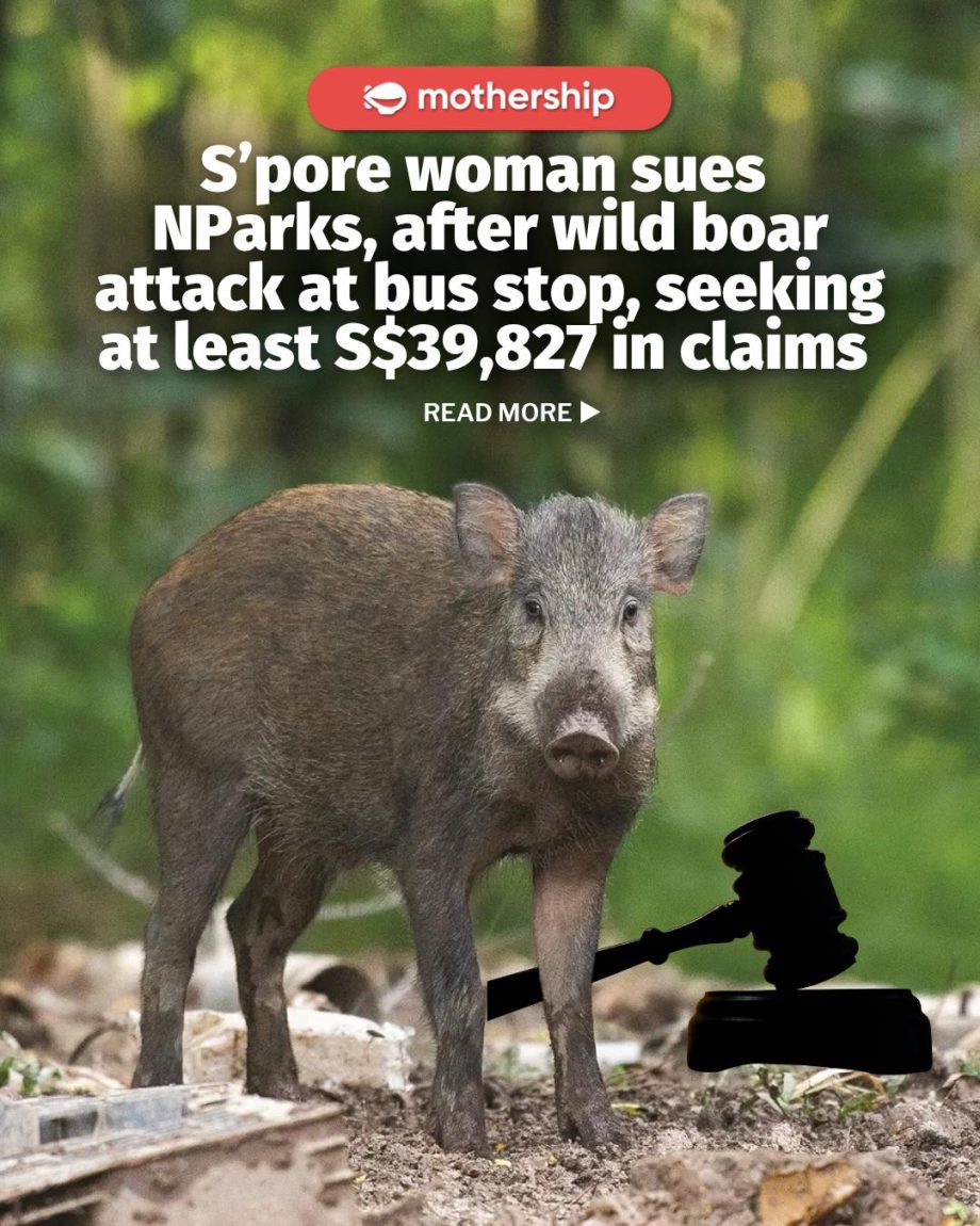 @mothershipsg The case is 1 of 2 separate civil suits involving NParks that are …