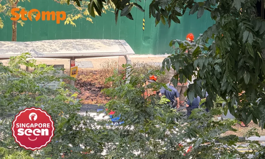 Fire breaks out on grass patch along Upper Bukit Timah Road Fire breaks out on grass patch along Upper Bukit Timah Road
