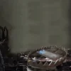 Mortal Shell 2 Players Really Hate Those Bear Traps, And So Do I