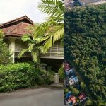 Singapore saved a bungalow for the public good. Why not two forests?