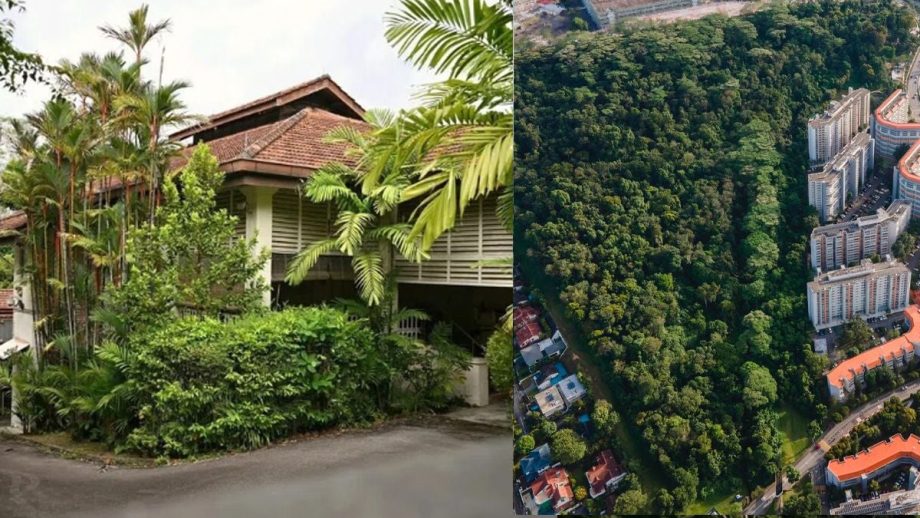 Singapore saved a bungalow for the public good. Why not two forests?