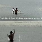 Man seen using net to fish at Pasir Ris Park beach, sparking concerns, Singapore News