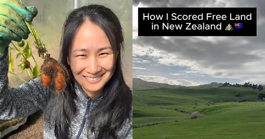 Singaporean TikToker offered chance to live for free on New Zealand land the size of Toa Payoh, Singapore News Singaporean TikToker offered chance to live for free on New Zealand land the size of Toa Payoh, Singapore News