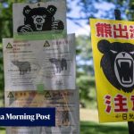 Bears and pest control: how Japan is spending its departure tax windfall