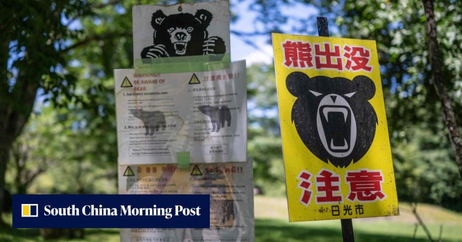 Bears and pest control: how Japan is spending its departure tax windfall