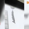 Mysterious corkscrew insect nest appears outside Bukit Batok unit
