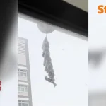 Mysterious corkscrew insect nest appears outside Bukit Batok unit