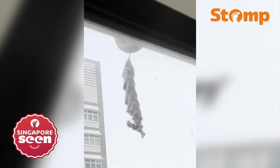 Mysterious corkscrew insect nest appears outside Bukit Batok unit Mysterious corkscrew insect nest appears outside Bukit Batok unit