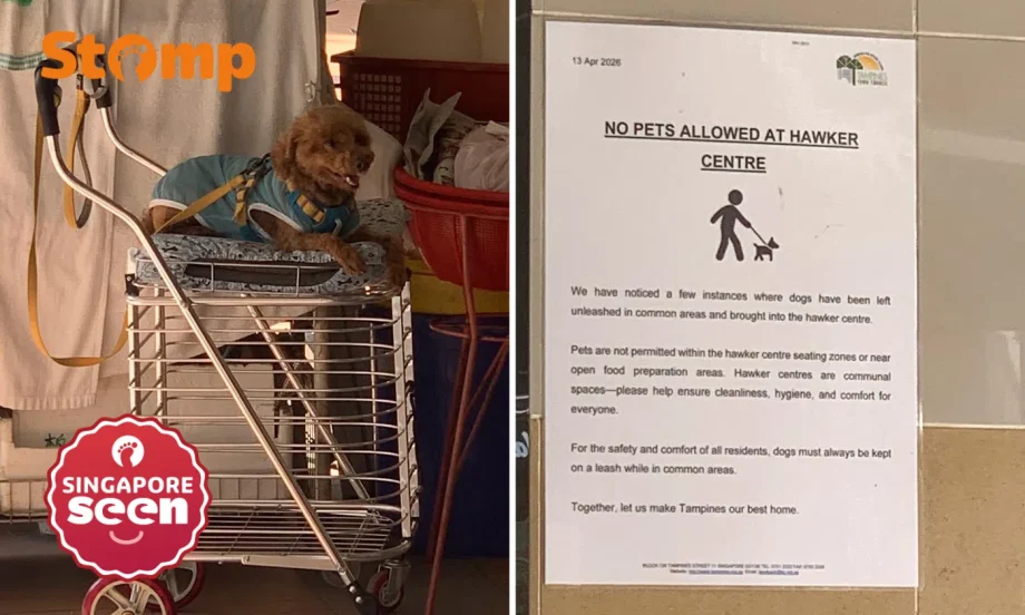 Dog at Tampines hawker centre despite ‘no pets allowed’ sign Dog at Tampines hawker centre despite ‘no pets allowed’ sign