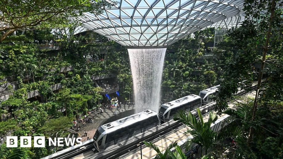 British man charged in Singapore two years after alleged theft at airport – BBC
