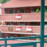 Woman taken to hospital after allegedly falling from Holland Drive HDB block, Singapore News