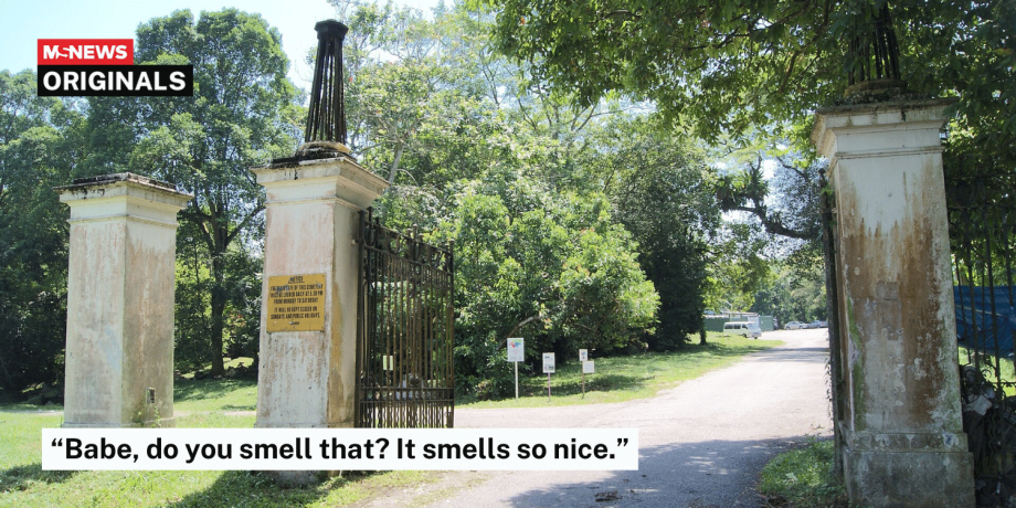 Woman notices fragrance while cycling through Bukit Brown cemetery, ex ignores her questions Woman notices fragrance while cycling through Bukit Brown cemetery, ex ignores her questions