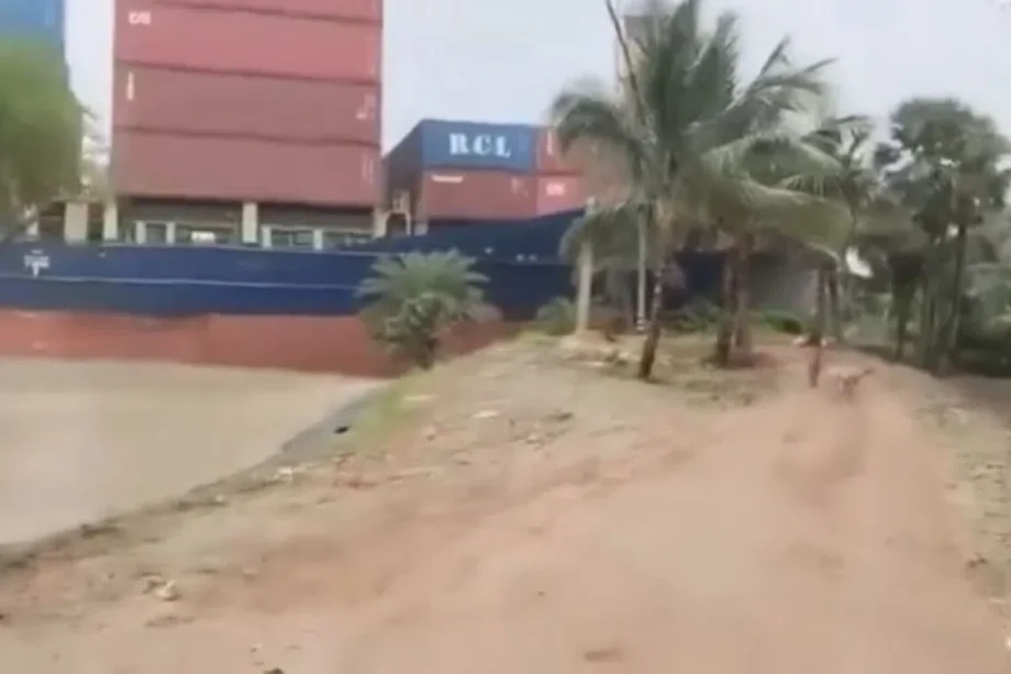 Singapore-flagged ship crashes into riverbank in India