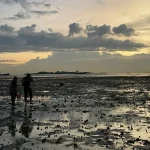 Foraging in Singapore: Unethical practices threaten biodiversity and cultural heritage