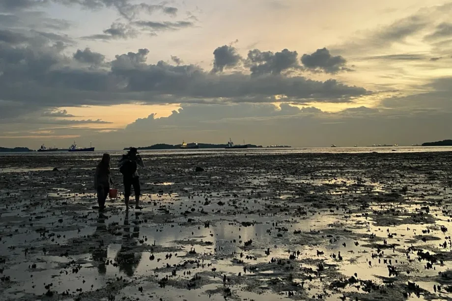 Foraging in Singapore: Unethical practices threaten biodiversity and cultural heritage Foraging in Singapore: Unethical practices threaten biodiversity and cultural heritage