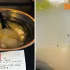 Woman finds insects in fish soup, gets diarrhoea for 2 days