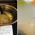 Woman finds insects in fish soup, gets diarrhoea for 2 days