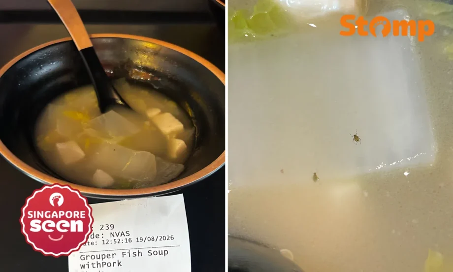 Woman finds insects in fish soup, gets diarrhoea for 2 days Woman finds insects in fish soup, gets diarrhoea for 2 days