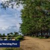 ‘Not the typical Bali’: why little-known Pengembak Beach is hosting Jia Curated 2026