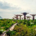 Did Singapore go wrong in its quest for food security?