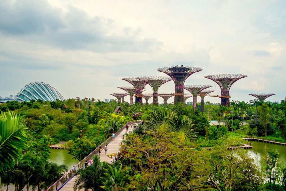 Did Singapore go wrong in its quest for food security?