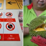 Durian ban on public transport: A commentary on S’pore’s social divide