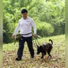 AVS to hold pet adoption drive in Singapore’s CBD for the first time