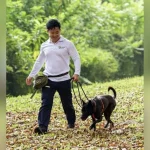 AVS to hold pet adoption drive in Singapore’s CBD for the first time